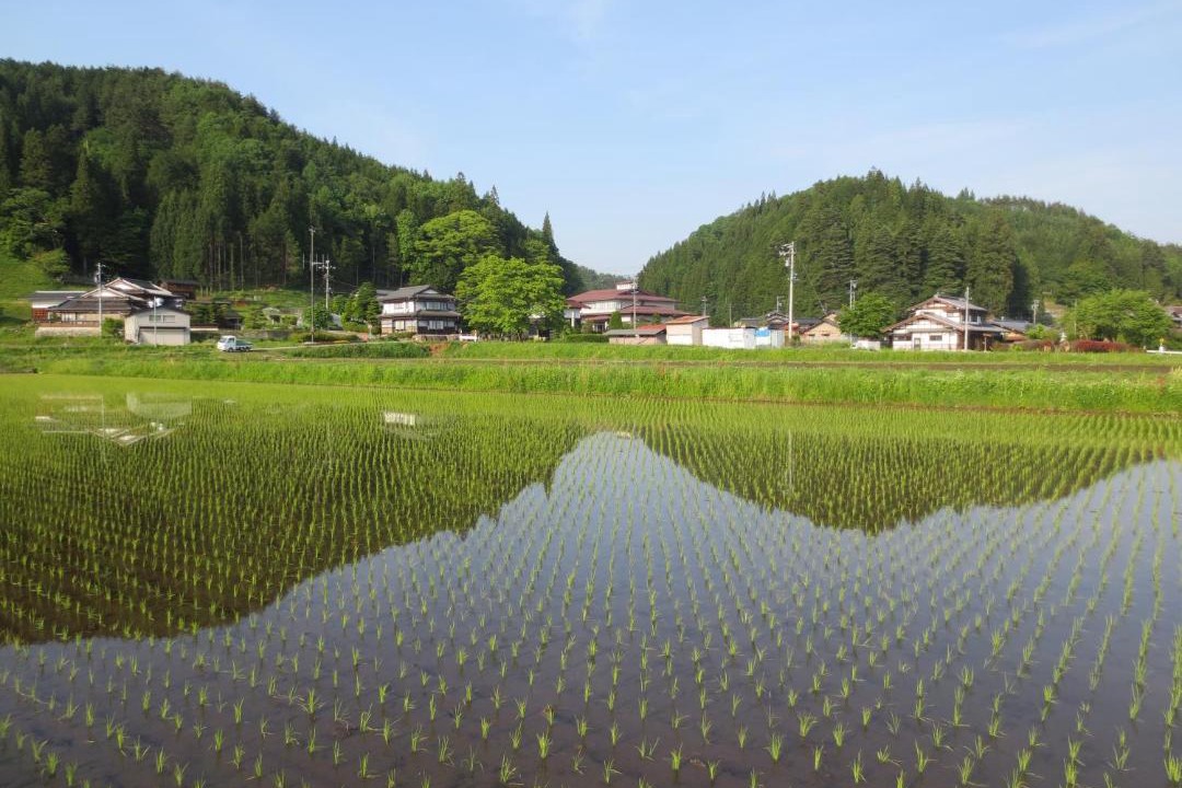 Photo of Others in Takayama