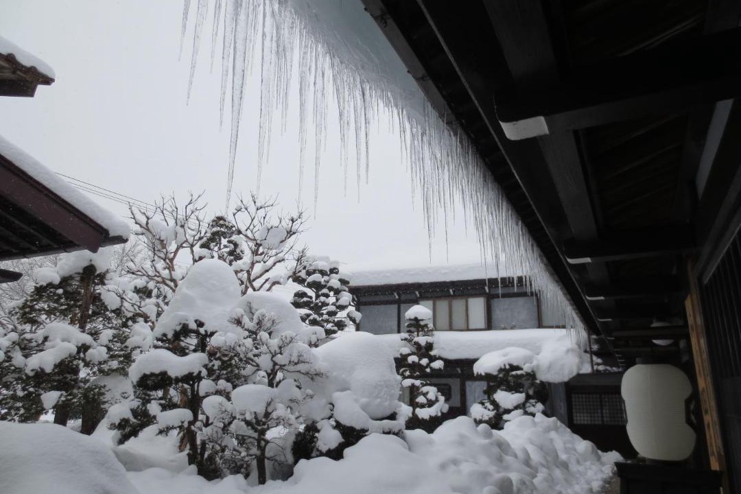 Photo of Others in Takayama