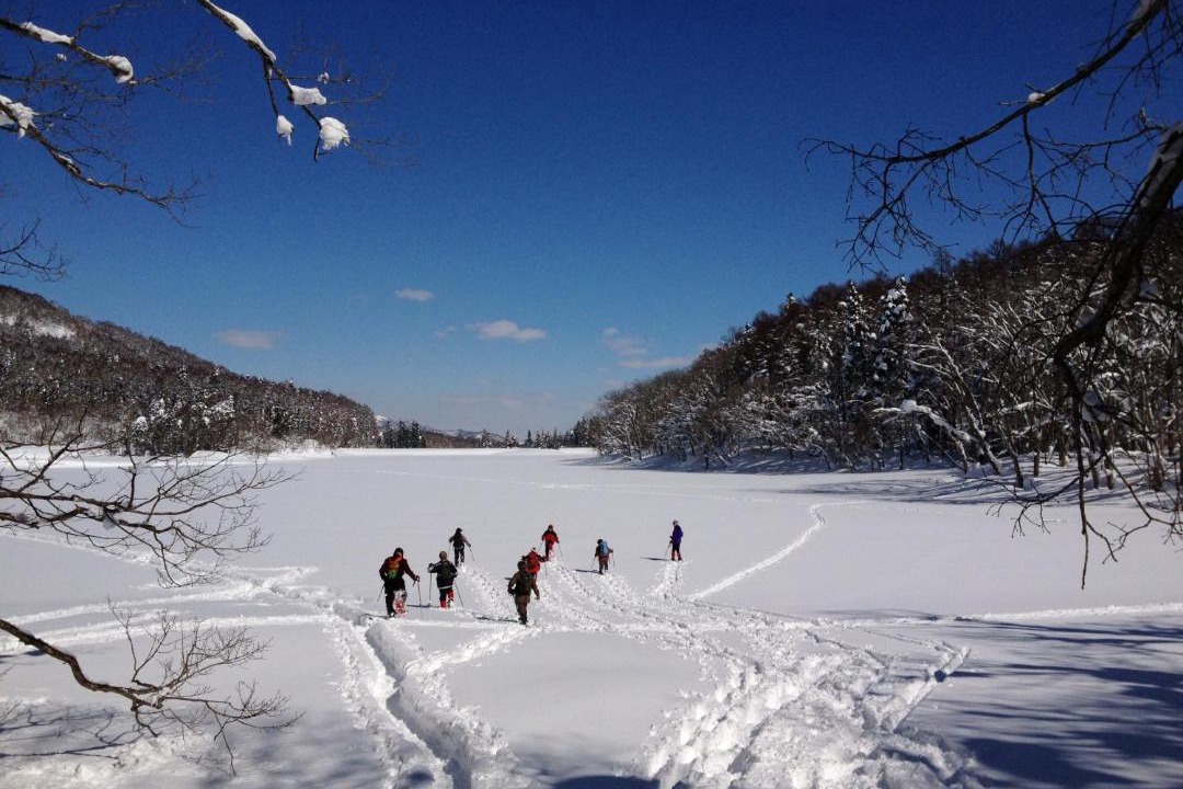 Photo of Others in Madarao Mountain Resort