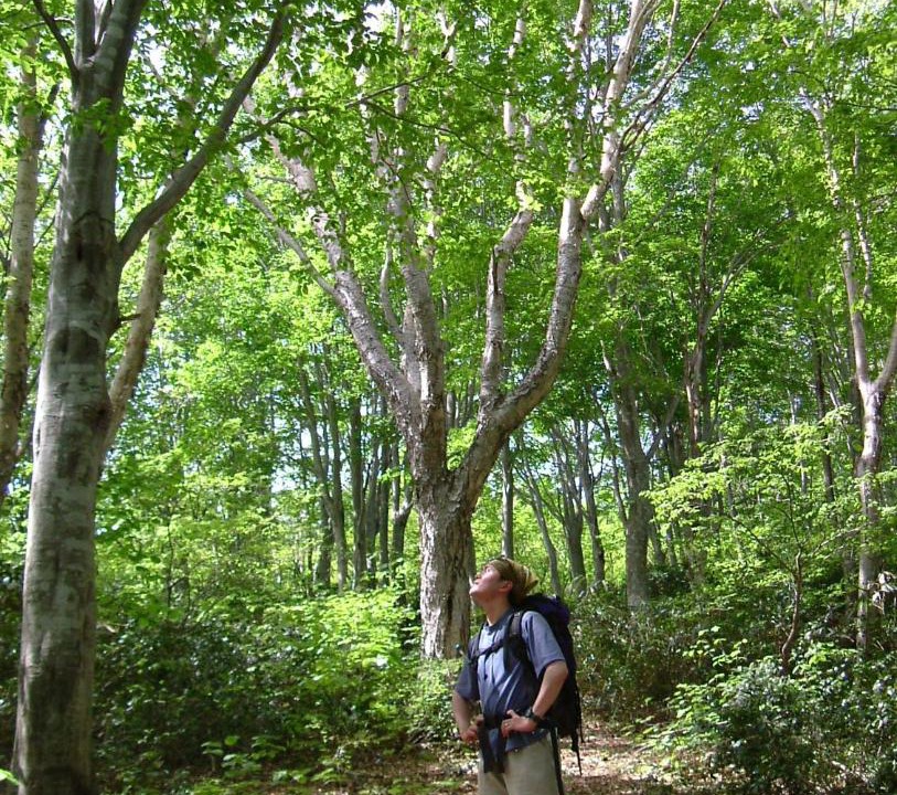 Photo of Others in Madarao Mountain Resort