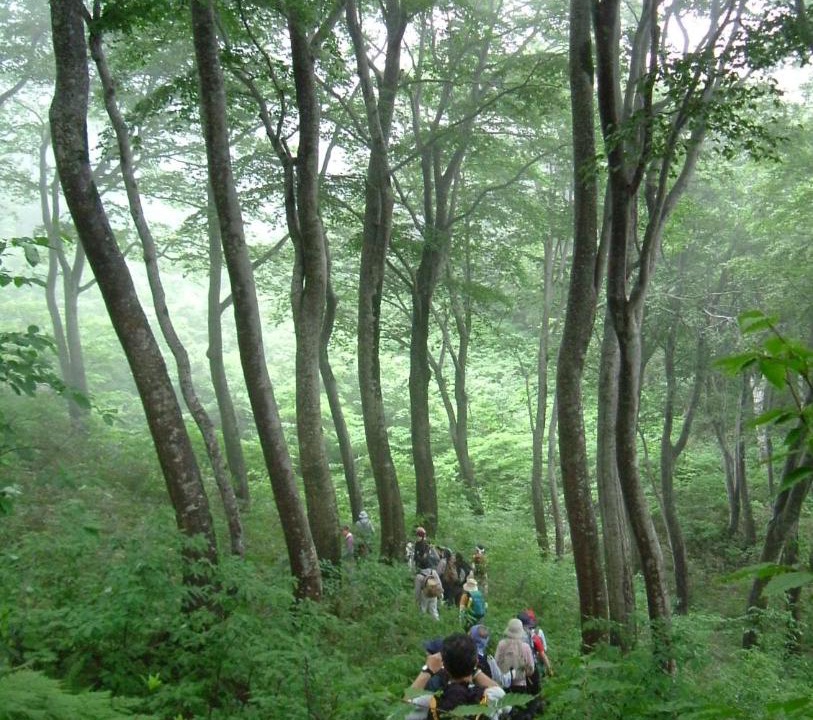 Photo of Outdoor in Madarao Mountain Resort