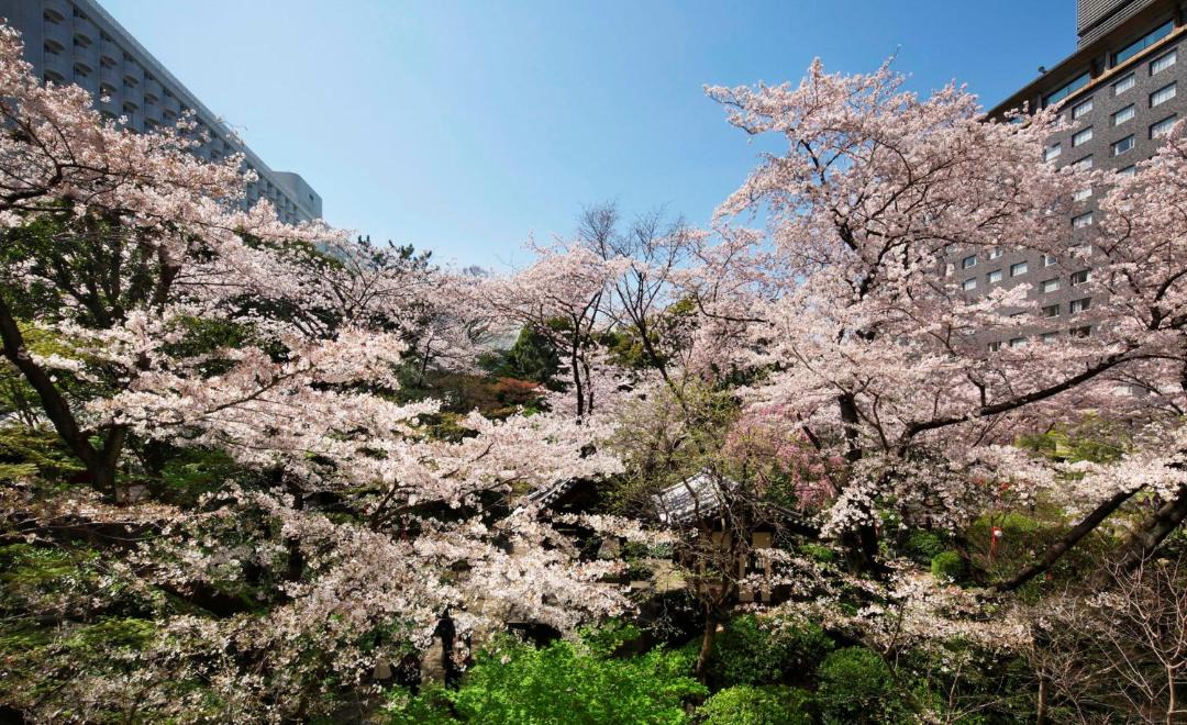 Photo of Others in Takanawa