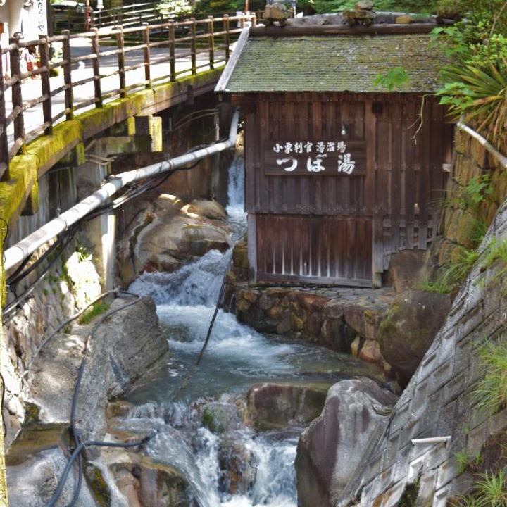 Photo of Others in Tanabe