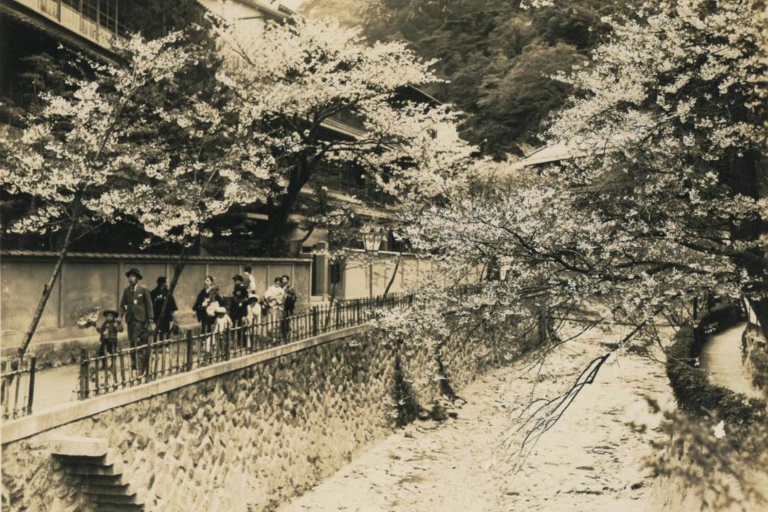 Photo of Others in Kita Ward