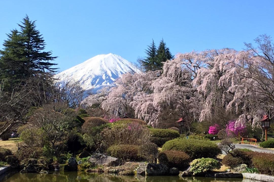 Photo of Others in Fujikawaguchiko