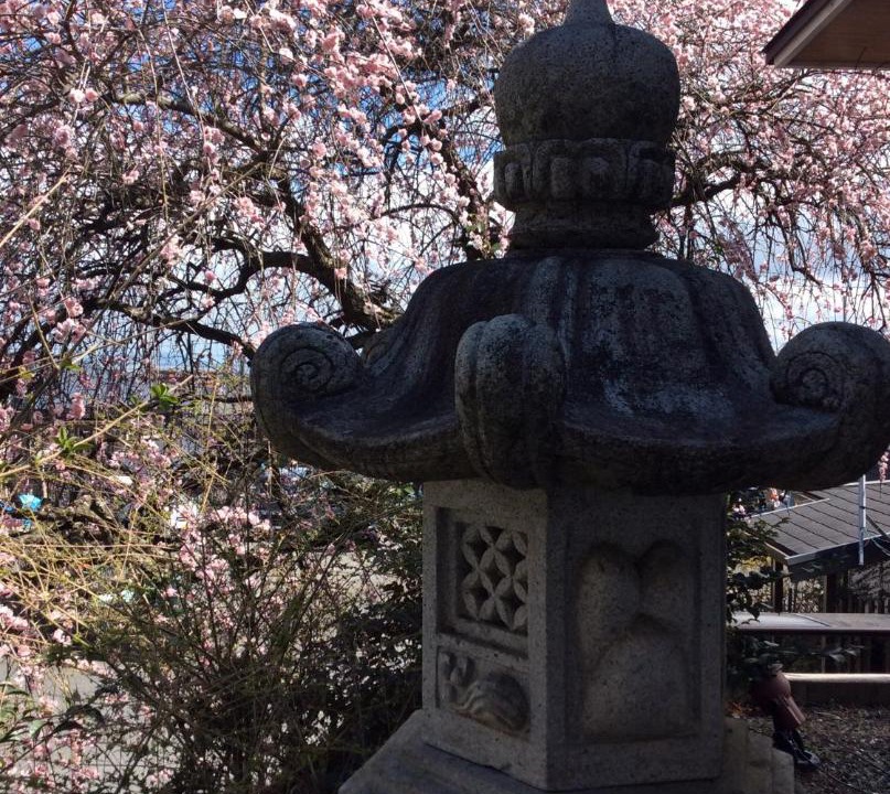 Photo of Others in Otsu