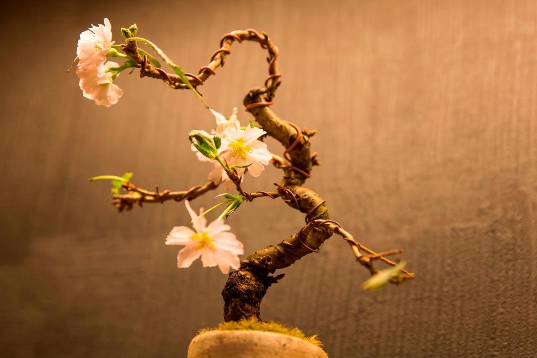 Photo of Others in Kanazawa