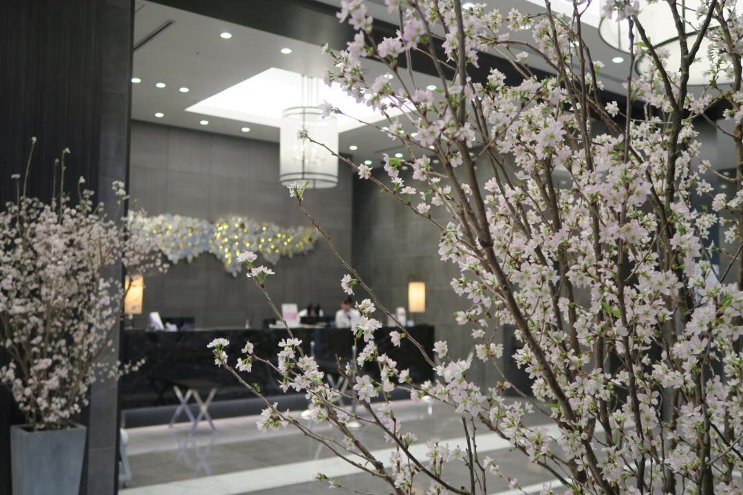 Photo of Others in Fujieda