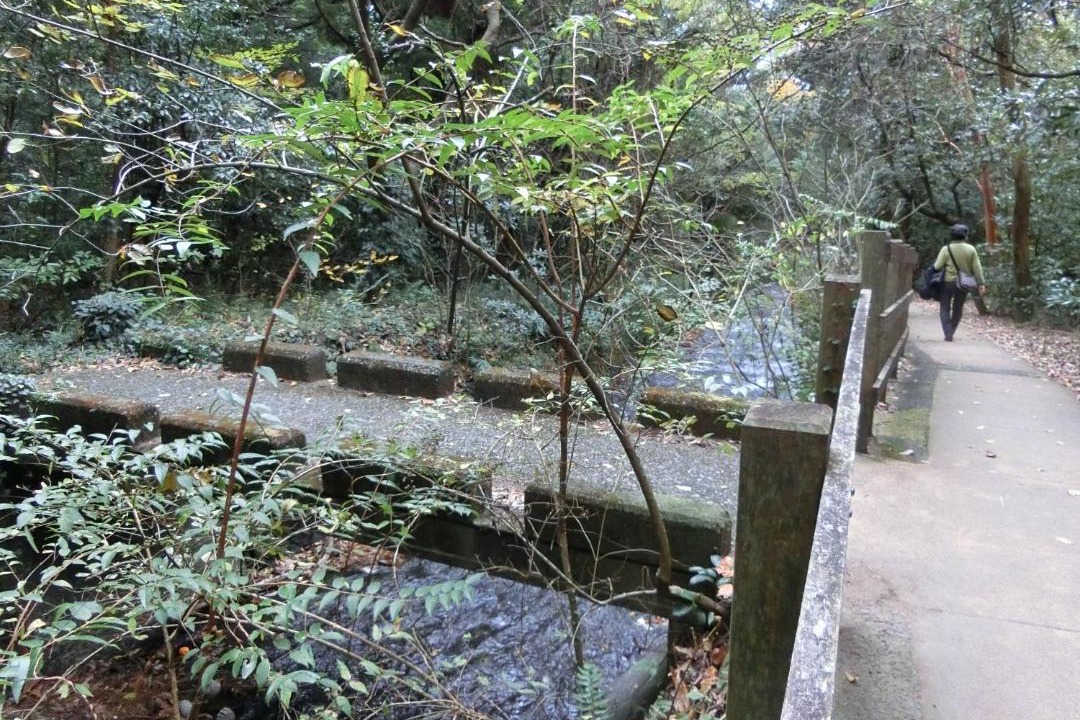 Photo of Others in Yawatano