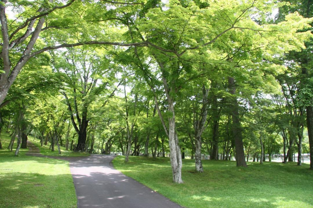 Photo of Others in Karuizawa