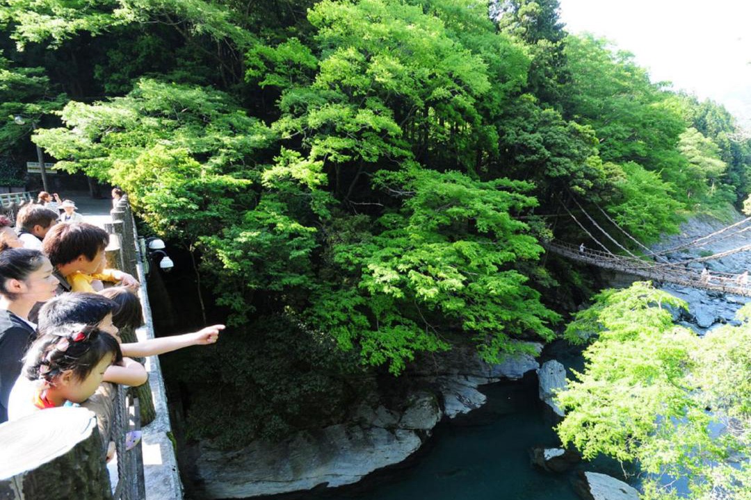 Photo of Others in Miyoshi