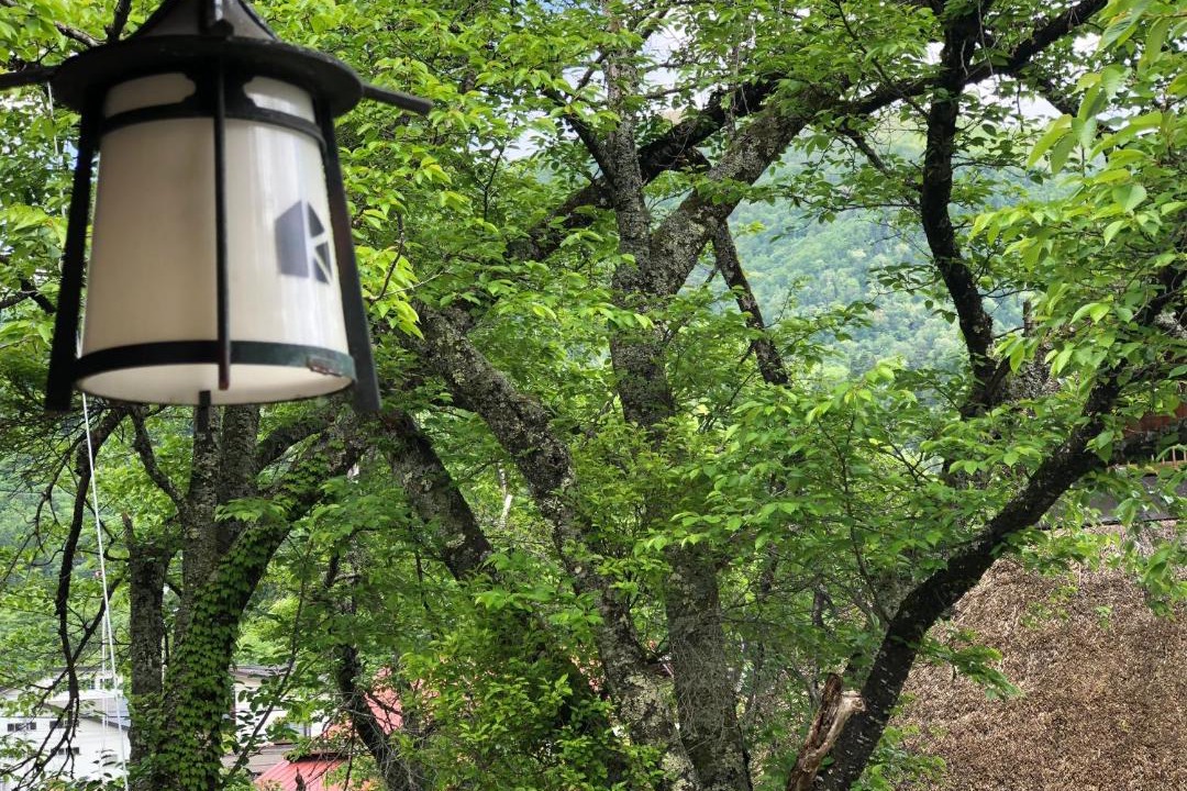 Photo of Others in Shirakawa