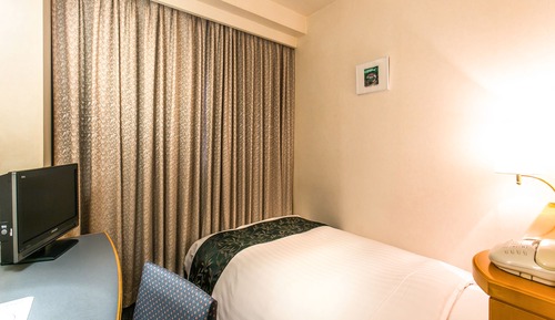 Advance Purchase Standard Single Room, Non Smoking