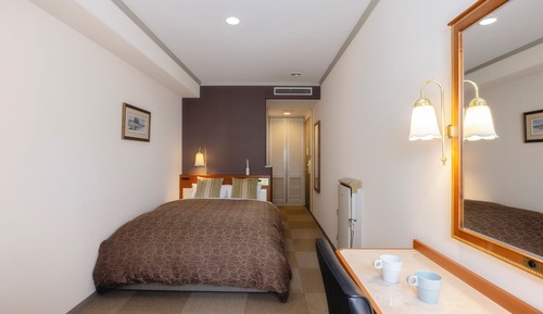Double Room Single Use, Non Smoking