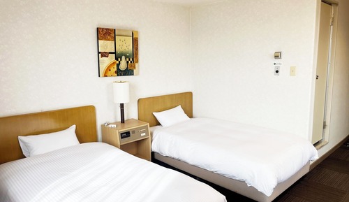 Twin Room, 2 Twin Beds, Smoking