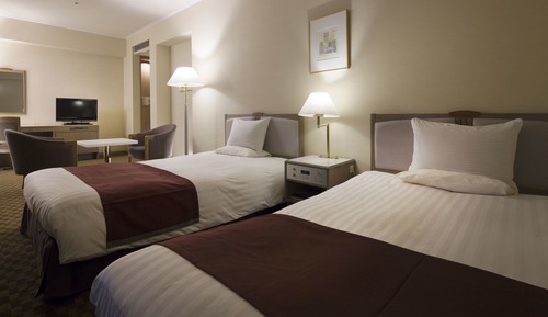 Superior Twin Room, Smoking