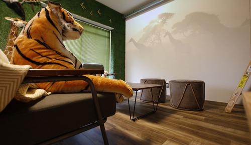 Safari, Non Smoking