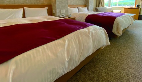 Deluxe Twin Room - Mountain View with Terrace (Corner Room, 34.33sqm)	