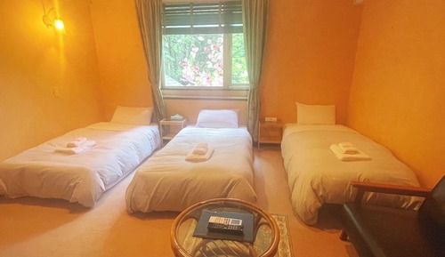 Basic Triple Room