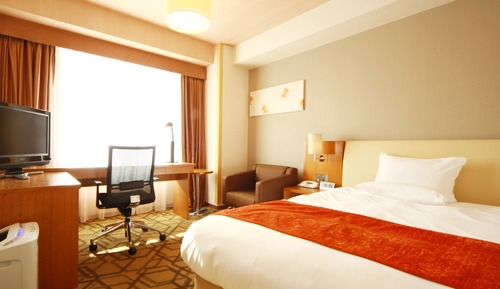 Deluxe Semi Double Room, Non Smoking