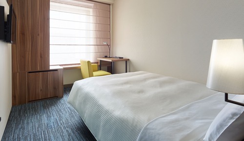 Standard Double Room - Single Use, Non-Smoking