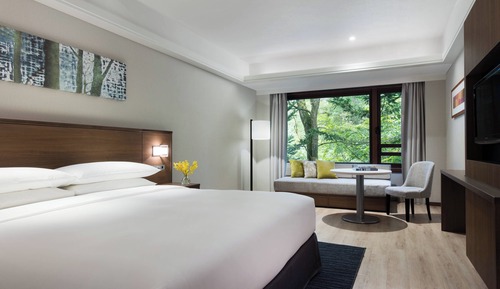 Superior Room, 1 King Bed with Sofa bed