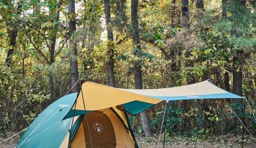 Tent