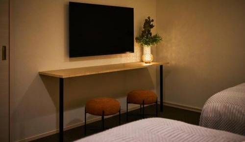 Large Twin Room