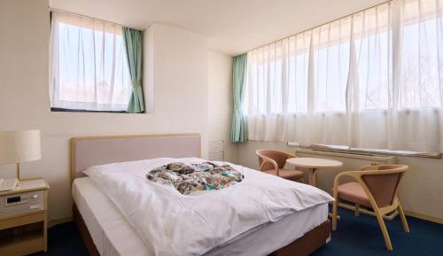 Double Room - Non-Smoking 