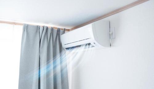 Bunk Bed in Mixed Dormitory Room