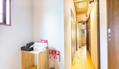 Bunk Bed in Mixed Dormitory Room