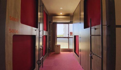 Bunk Bed in Male Dormitory Room 
