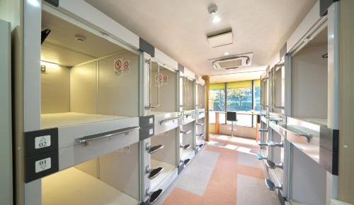 Bunk Bed in Mixed Dormitory Room