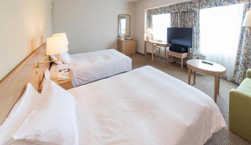 Deluxe Twin Room - Non-Smoking