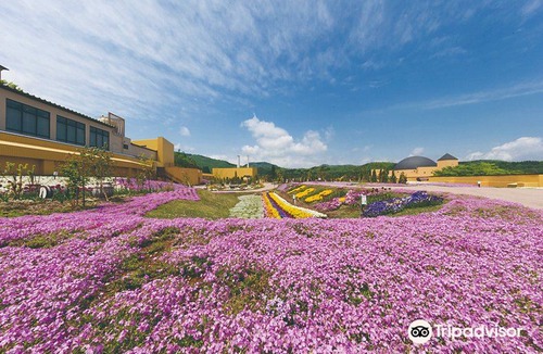 Shizukuishi Hotel | Hotel Morinokaze Oshuku