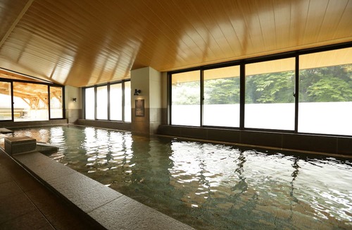 Hakone Hot Springs Hotel | Hakone Yumoto Onsen Tenseien
