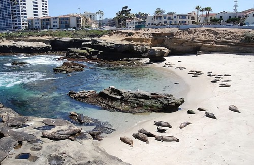 Village of La Jolla Hotel | Comfort & Convenience! 3 Great Units! Near Museum of Contemporary Art San Diego
