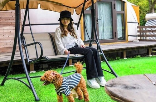 Yufu RV Rental | For 3 people | Room only | Pets allowed Enjoy a /Yufu City Ōita