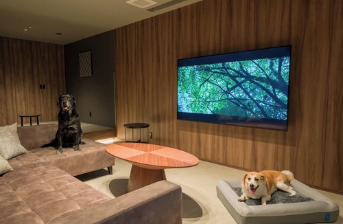 Hakone Hotel | Rakuten STAY TERRACE Hakone Kowakudani D 2 beds raised platform dog friendly/Ashigarashimo-gun Kanagawa
