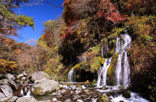 Hokuto Hotel | Wan Wan Paradise Yatsugatake