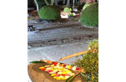 Kita Ward Apartment | cozy house - Vacation STAY 13159