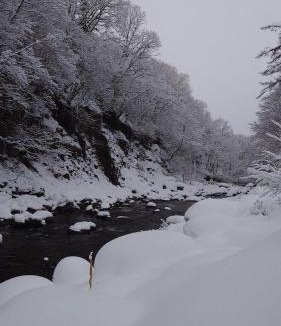 Hakusan National Park House | 一色の森プライベートサウナからまつ山荘 Shirakawago Takayama Issiki forest