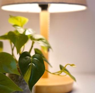 Kitaotsuka Apartment | 暖燈 DANTO inn 4F
