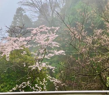 Atami Apartment | VIVI Atami Shizenkyo Room 3001 - Vacation STAY 14277