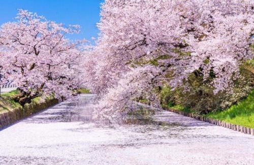 Hirosaki Hotel | Super Hotel Hirosaki
