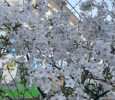 Nagawa Apartment | Tokyo Great Access Near Shinjuku 3ppl Convenience