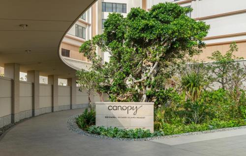 Miyakojima Resort | Canopy by Hilton Okinawa Miyako Island Resort
