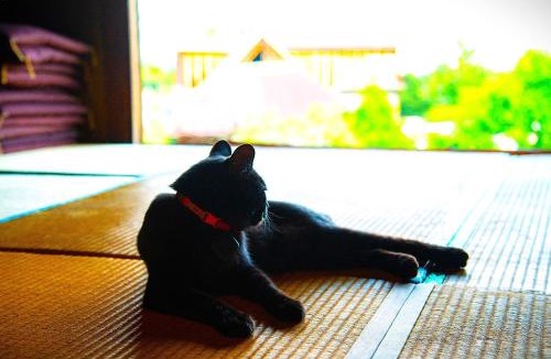 Fujikawa House | Minamikoma-gun - House - Vacation STAY 19040