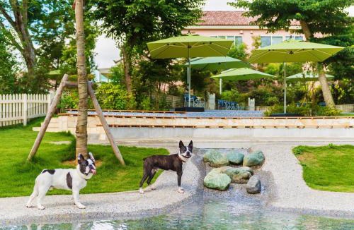 Yachimata Hotel | Koyaru-no-sato Doggys Island