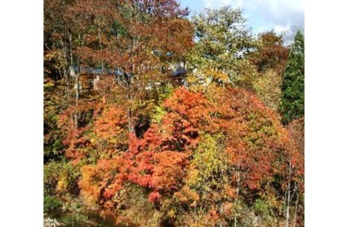 Shizukuishi Hotel | Oshuku Onsen Hotel Uguisu - Vacation STAY 27299v
